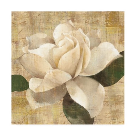 Albena Hristova 'Gardenia Blossom On Script' Canvas Art,24x24
